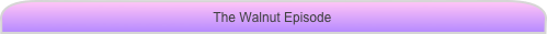 The Walnut Episode
